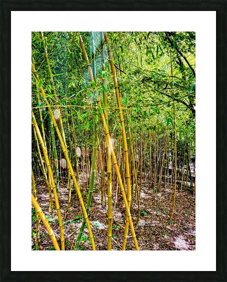 Bamboo Legs Picture Frame print