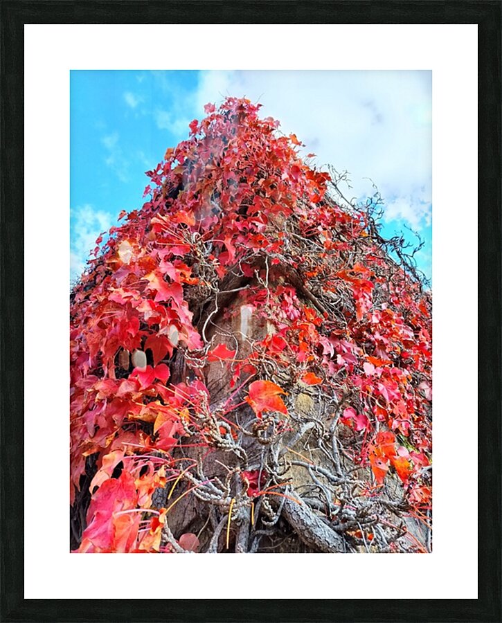 Blaze Picture Frame print