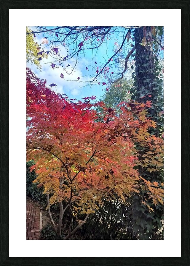 Colour Me Happy Picture Frame print