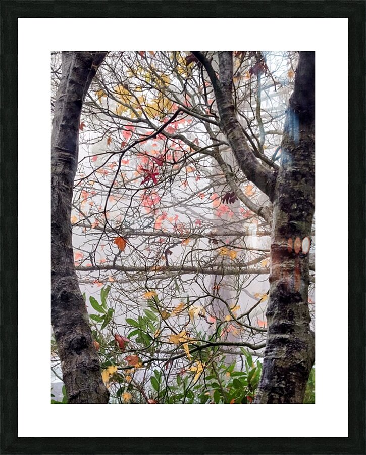 Foggy Frame Picture Frame print