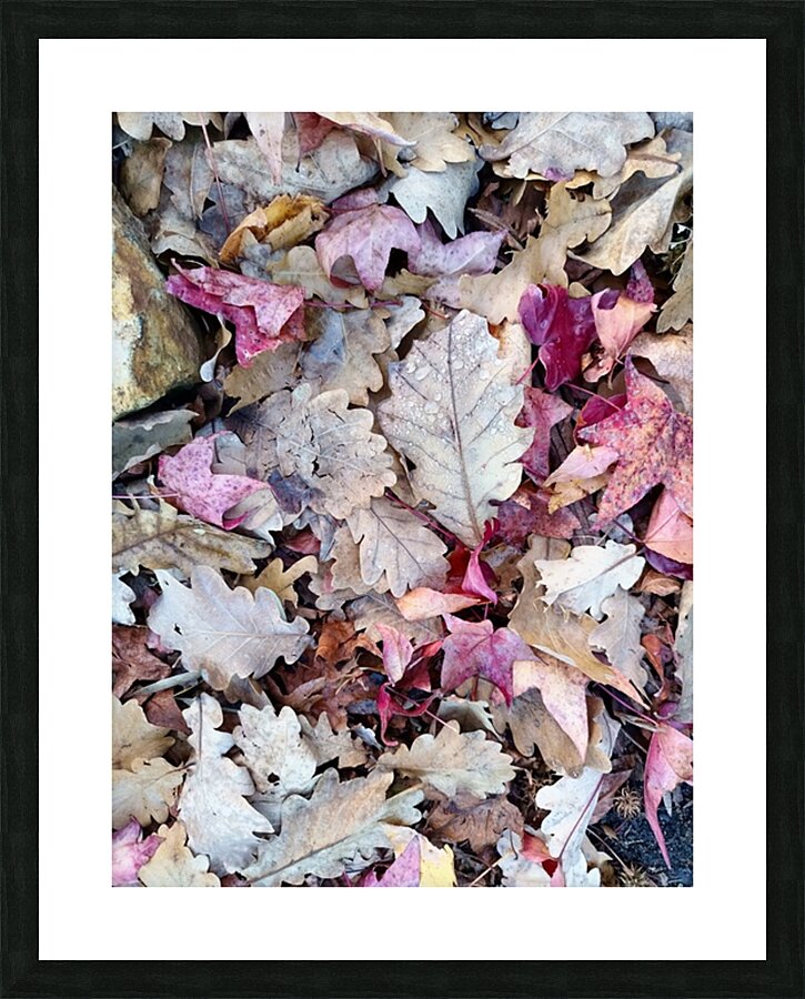1000003929 Picture Frame print