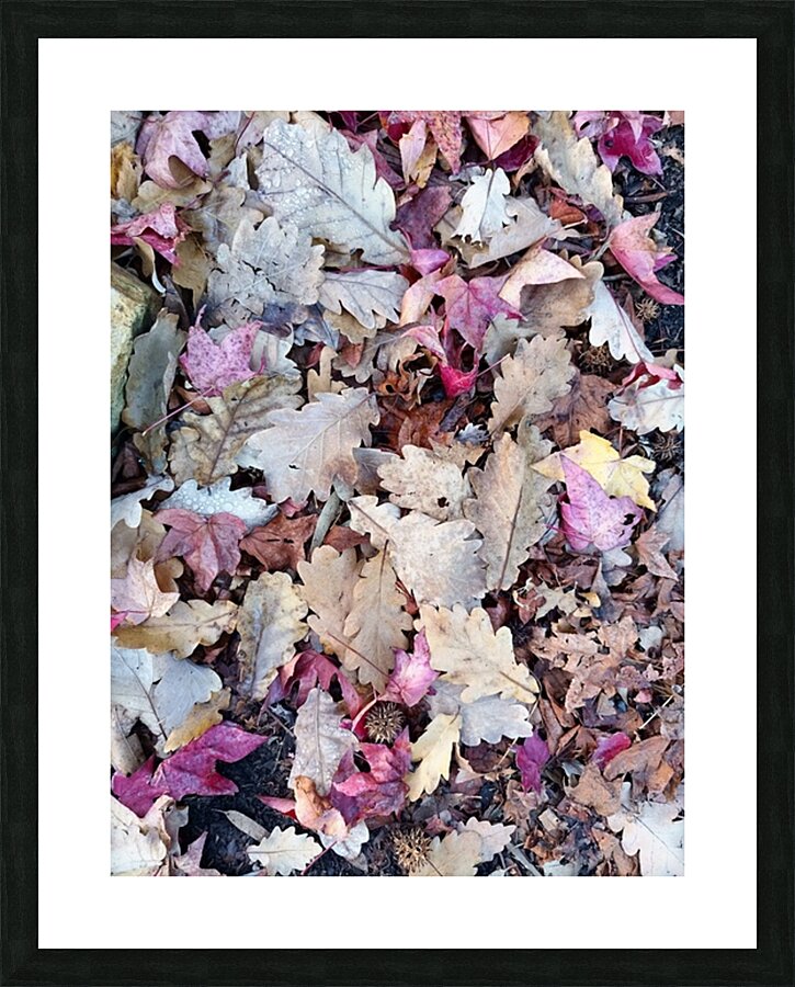 1000003927 Picture Frame print