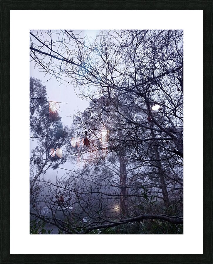 Foggy Picture Frame print