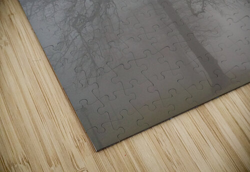 Arrival II Ivanka Jane WALKER puzzle
