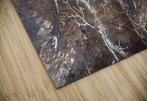 Winter I Ivanka Jane WALKER puzzle