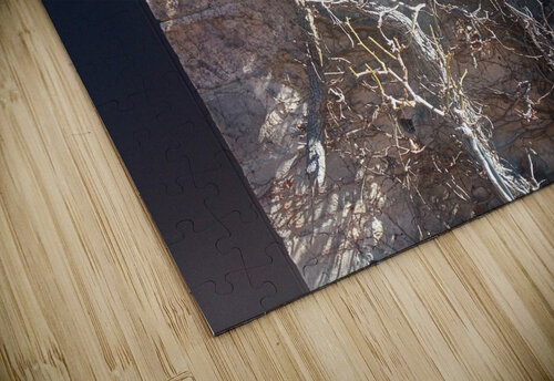 Winter III Ivanka Jane WALKER puzzle