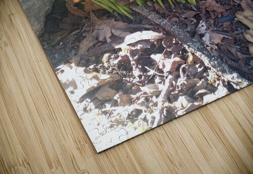 Acorn Leaf Ivanka Jane WALKER puzzle