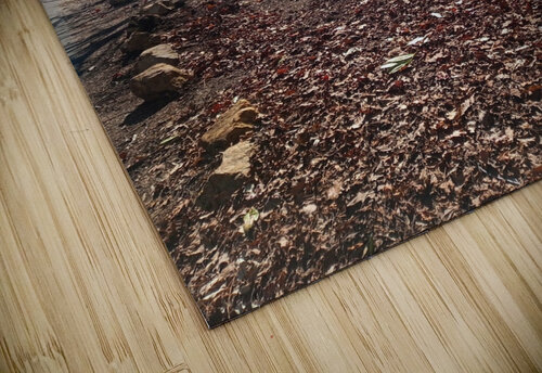 Winter Sun Ivanka Jane WALKER puzzle
