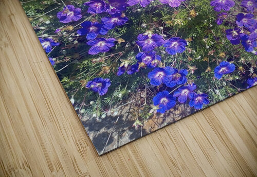 Dads Place I Ivanka Jane WALKER puzzle