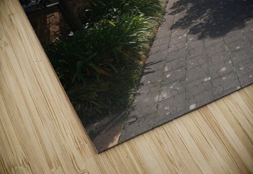 A Street Ivanka Jane WALKER puzzle