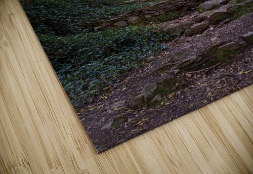 Waterfall Gully Bridge Ivanka Jane WALKER puzzle