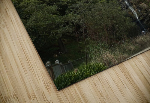 Waterfall Gully Ivanka Jane WALKER puzzle
