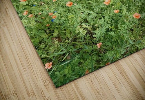 Poppies & Rust Ivanka Jane WALKER puzzle