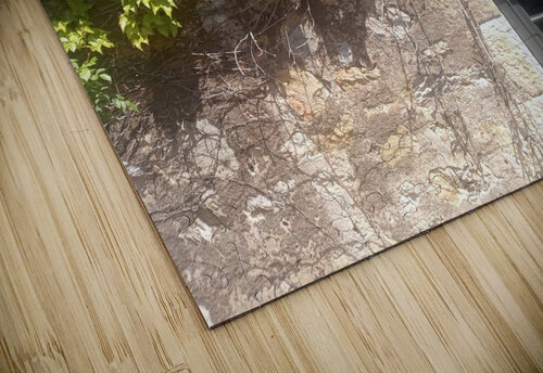 Spring Vines II Ivanka Jane WALKER puzzle