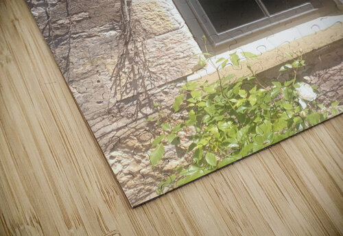 Spring Vines III Ivanka Jane WALKER puzzle
