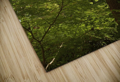 Green Ivanka Jane WALKER puzzle