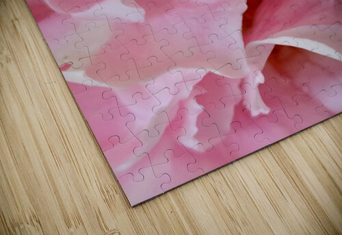 Pink Rose III Ivanka Jane WALKER puzzle