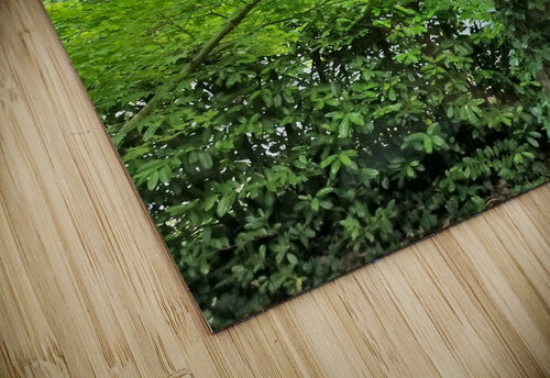 Green Leaves Ivanka Jane WALKER puzzle