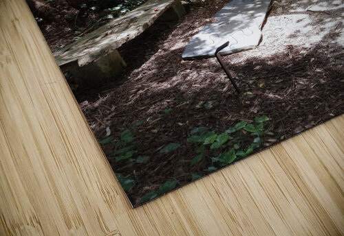 A Bench to Remember Ivanka Jane WALKER puzzle