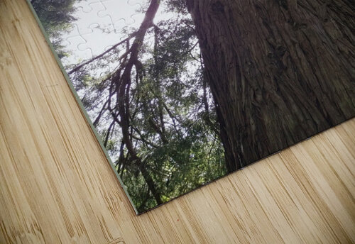 Stand Tall Ivanka Jane WALKER puzzle