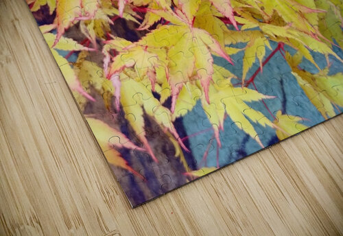 Japanese Maple Ivanka Jane WALKER puzzle