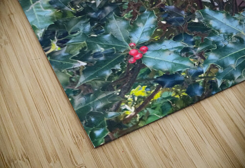 Holly Ivanka Jane WALKER puzzle