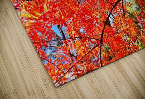 Blaze II Ivanka Jane WALKER puzzle