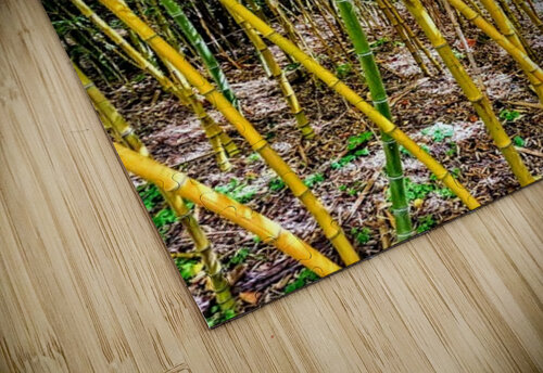 Bamboo Legs Ivanka Jane WALKER puzzle