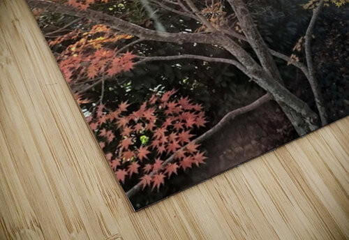 Maple Light III Ivanka Jane WALKER puzzle