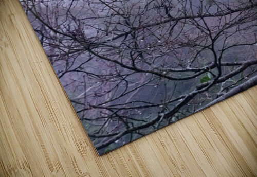 Foggy II Ivanka Jane WALKER puzzle