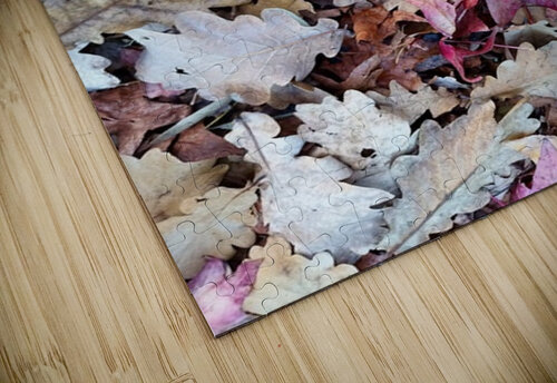 1000003929 Ivanka Jane WALKER puzzle