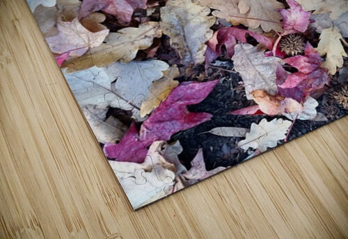 1000003927 Ivanka Jane WALKER puzzle