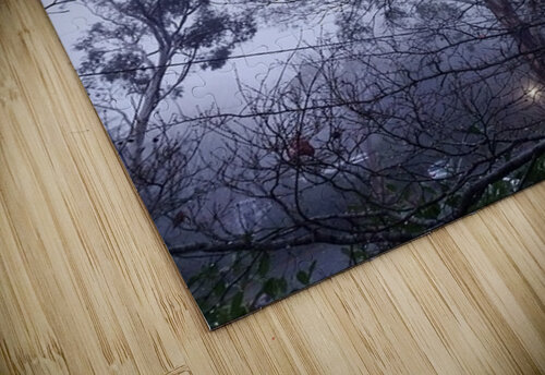 Foggy Ivanka Jane WALKER puzzle