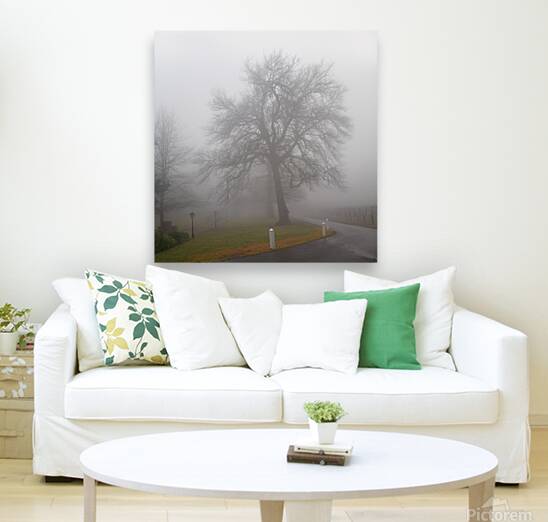Arrival IV Reproduction