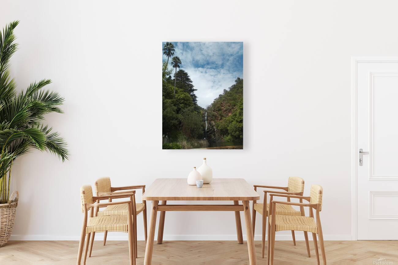 Waterfall Gully Reproduction