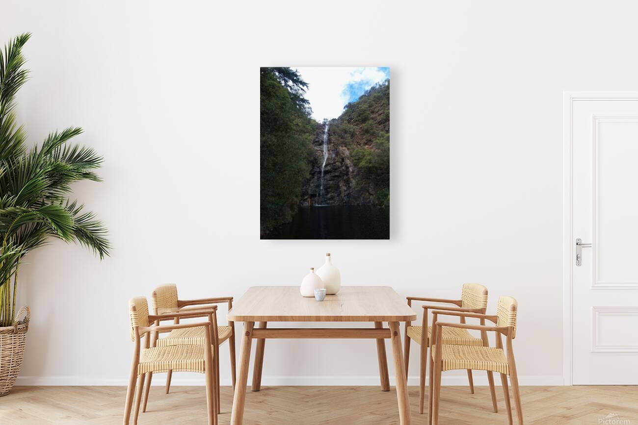Waterfall Gully II Reproduction