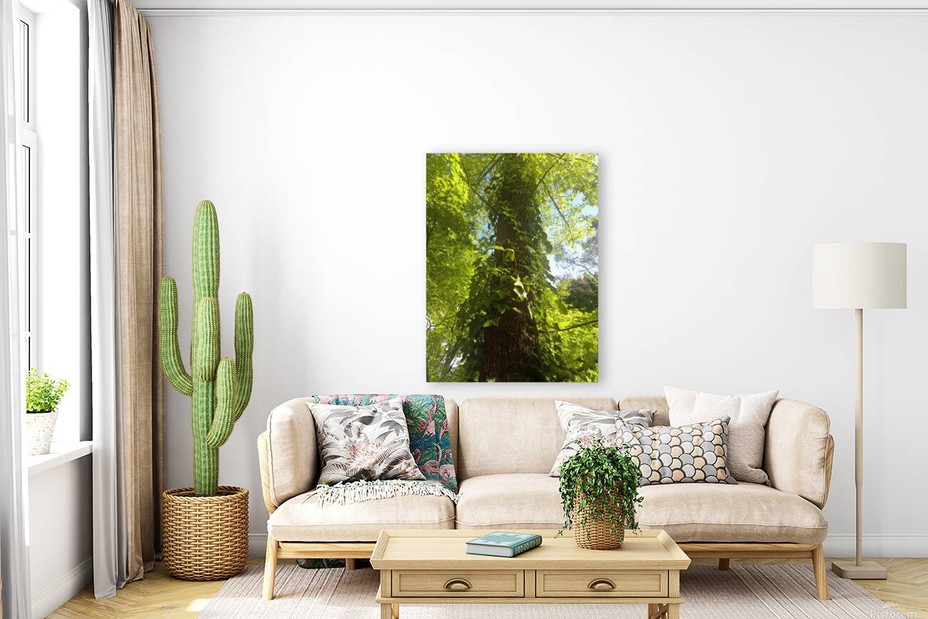 Ivy Ladder Reproduction