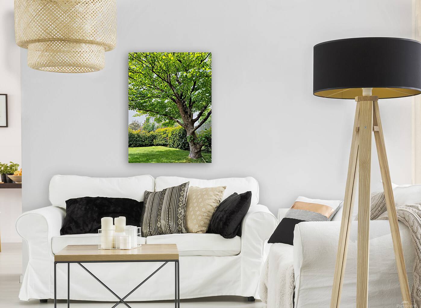 Aussie Hamptons  Reproduction