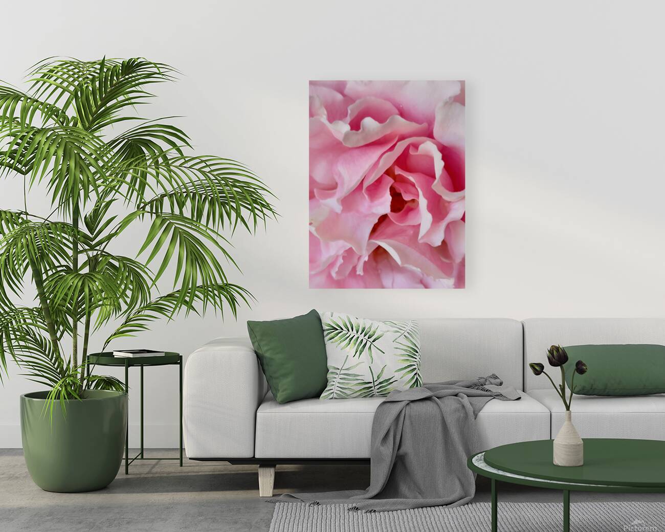Pink Rose III Reproduction