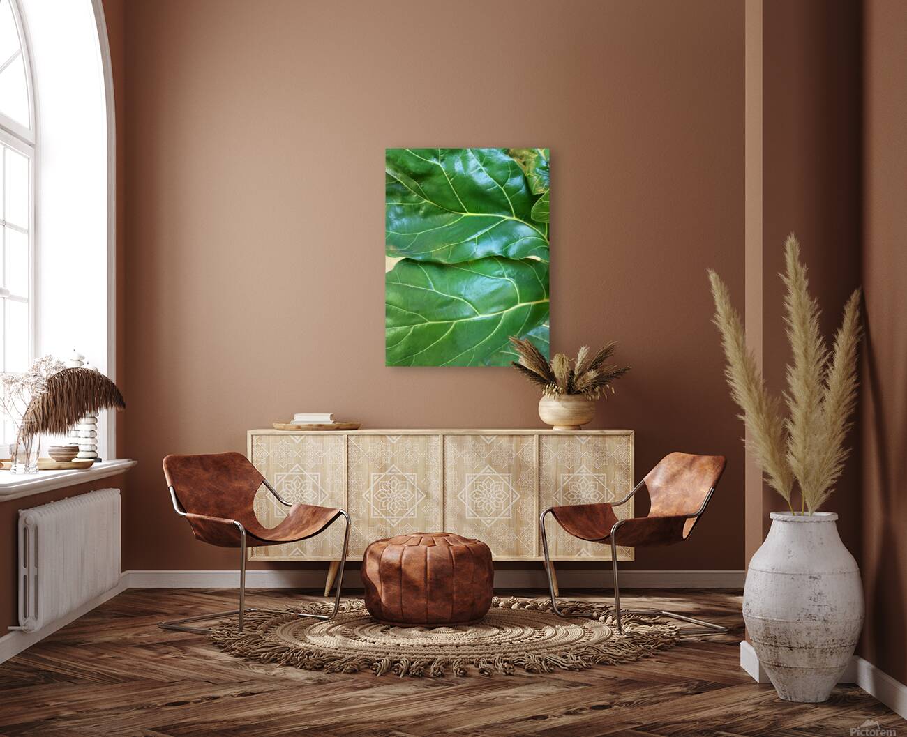 Fiddle Leaf II Reproduction