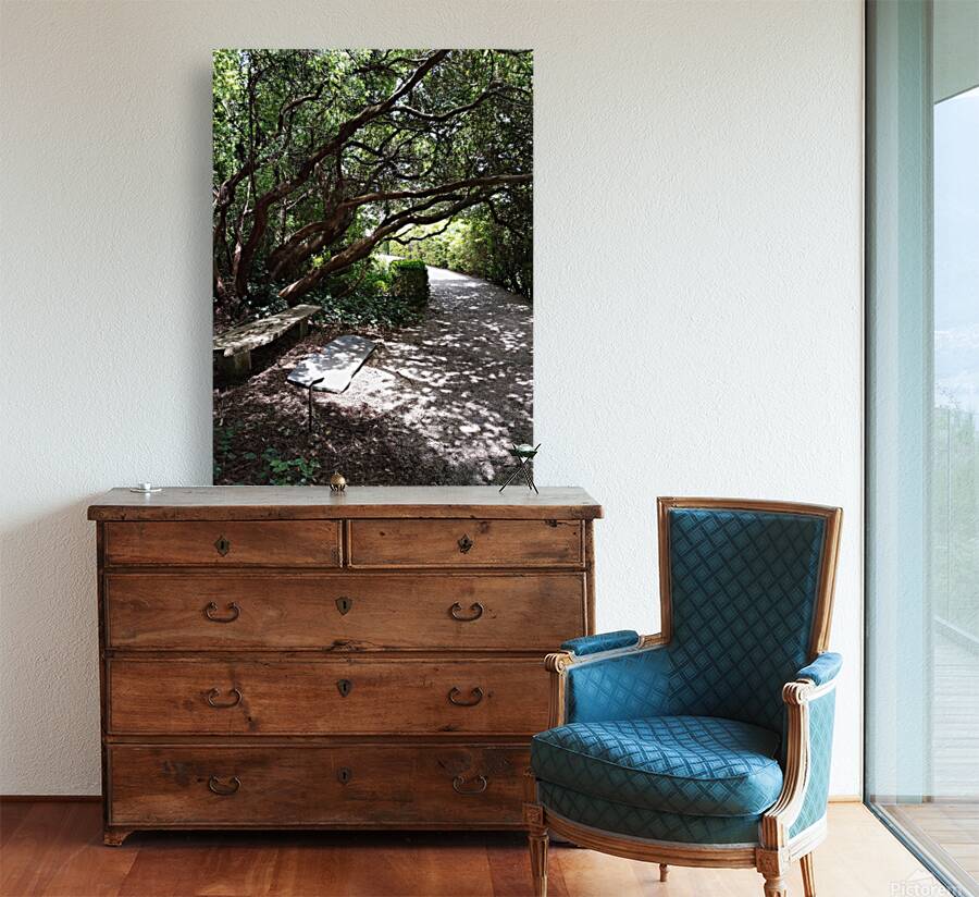A Bench to Remember Reproduction