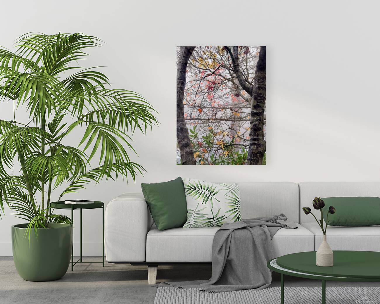 Foggy Frame Reproduction