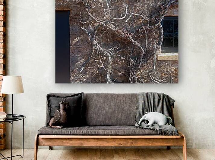 Winter III by Ivanka Jane WALKER