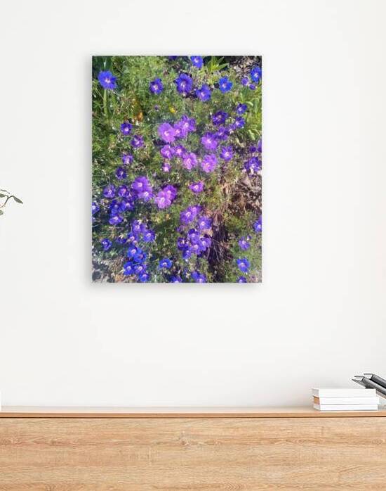 Dads Place I by Ivanka Jane WALKER