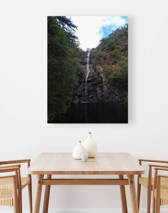 Waterfall Gully II by Ivanka Jane WALKER