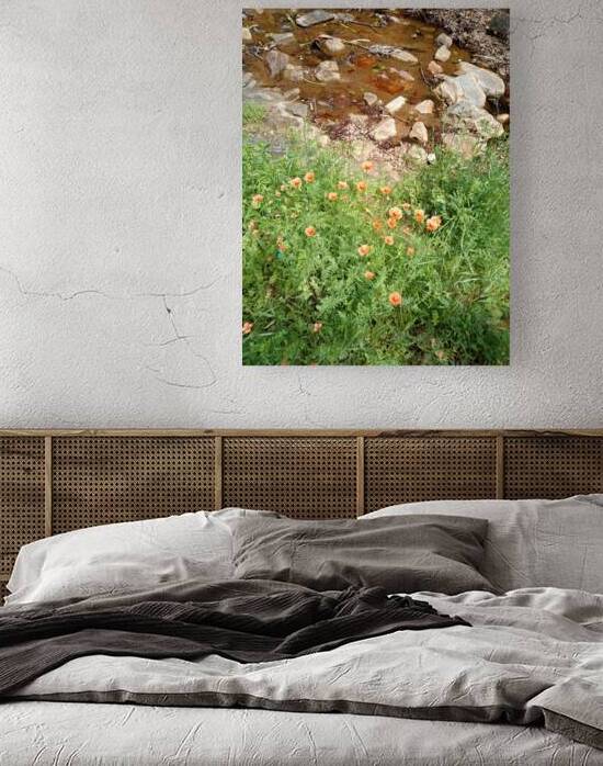 Poppies & Rust by Ivanka Jane WALKER