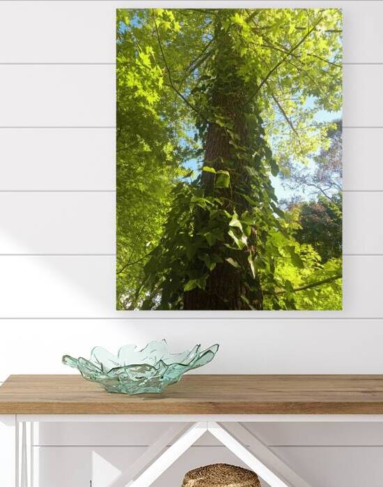 Ivy Ladder III by Ivanka Jane WALKER