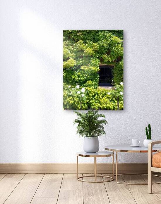 Spring Vines VI by Ivanka Jane WALKER