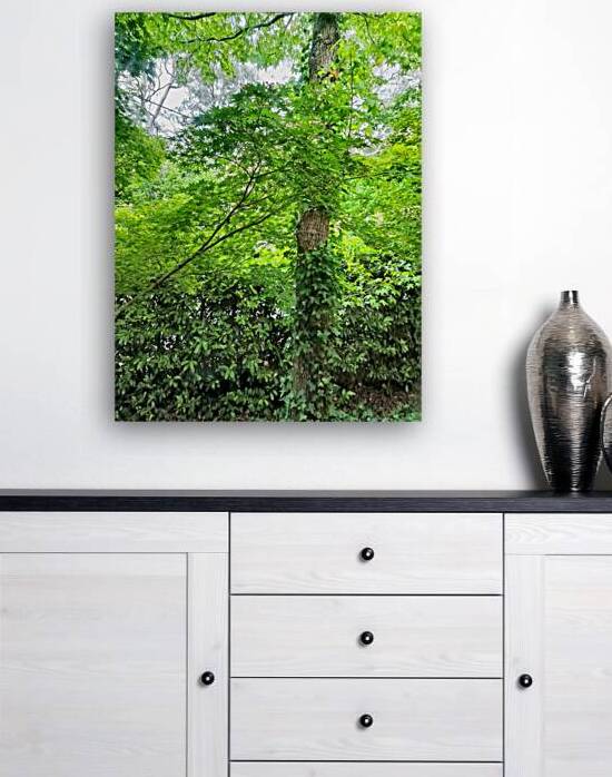 Green Leaves by Ivanka Jane WALKER