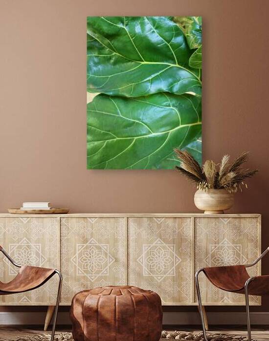 Fiddle Leaf II by Ivanka Jane WALKER